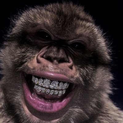 choppedsael's profile picture. your dad’s dad.