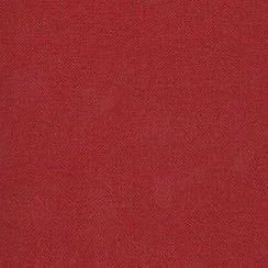 staypeepeep's profile picture. 