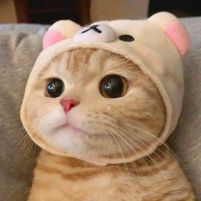 nphphl680152980's profile picture. ทักมาส่งรูปด้วยนะคะ 
เป็นสาว2คะ ใครไม่โอเคไม่ว่ากันจ้า👌👌
อ่านก่อนทักนะคะ จะได้เข้าใจกัน
🥰🥰🤍🤍