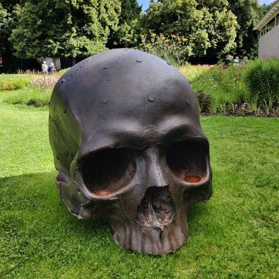 brandeisnikolai's profile picture. 