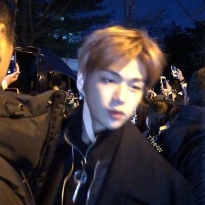 ryoikitenkaigo's profile picture. they/them