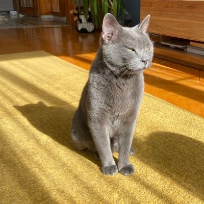 ciaycey's profile picture. https://t.co/MssrA4Oybe