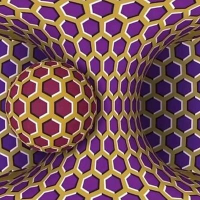 eombuki's profile picture. -