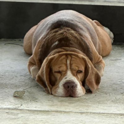 grgybt's profile picture. Here to acquire insights and maybe share some