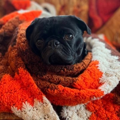 jessicalawn4467's profile picture. NAIL ARTIST