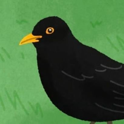 ring_account's profile picture. ⚠️이상한 것,
아직 (가)개장도 안한 캐 뉴짤
그런 거 올림.⚠️