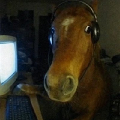 solarsfake's profile picture. Roblox Animator 11 Months Exp