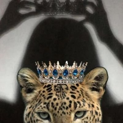 chefinha5_'s profile picture. 