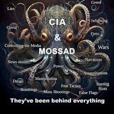 Tom988583581631's profile picture. stay tuned