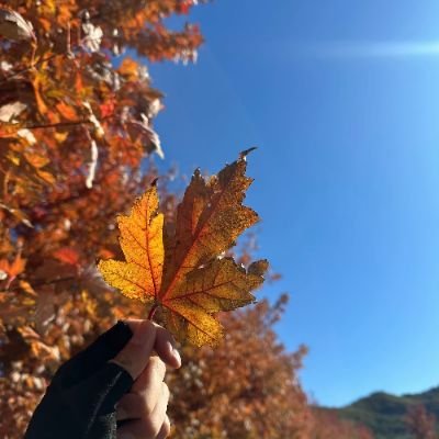 RoSyRouTe's profile picture. *.:｡✿*ﾟ‘ﾟ･✿.｡.:*.:｡◕‿◕｡☂Generalist🪿📚🌦️☏ ☆ º◦εїз.｡.:*☃❆★･❀