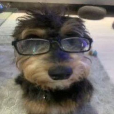 Fettacheeses's profile picture. 17! I love playing adm and rh ( ˶ˆᗜˆ˵ ) group owner with 100k+ sales :3