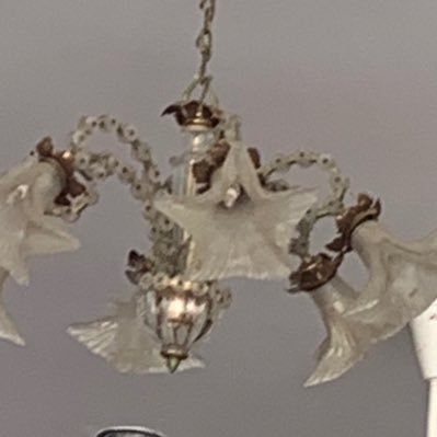 rorivive's profile picture. 