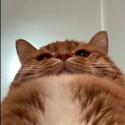 Potato_Mud's profile picture. nothing here :D