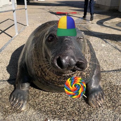 Im_Merky's profile picture. 𓇼 ⋆.˚ 𓆉 𓆝 𓆡⋆.˚ 𓇼