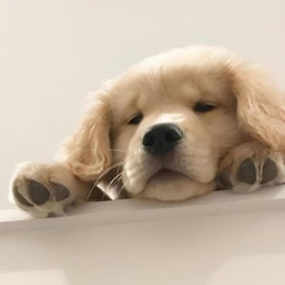 npcxpp's profile picture. รับกดบัตร ทุกงานรับหาบัตรดีลบัตร ตปท. 
ทักเดมได้เลยจ้า
มีเครดิตการกดบัตร ได้บัตรตามที่ต้องการ100% จ้า