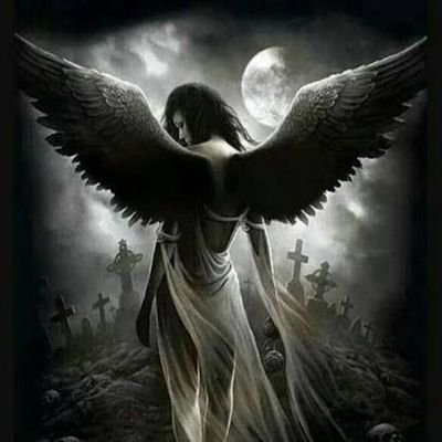 MariaOnchainDev's profile picture. 