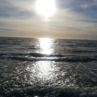 msellejam's profile picture. 