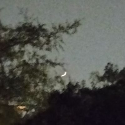 arrafiq's profile picture. 