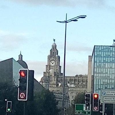 PaulPorter6's profile picture. no DM
not looking for Love