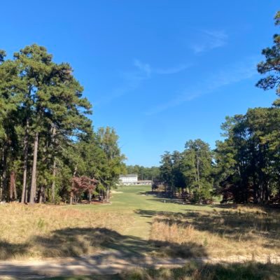 nelw_3's profile picture. 