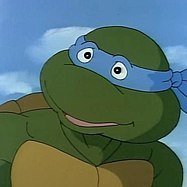 leonardocstwo's profile picture. about me! i like cats, owls and turtles