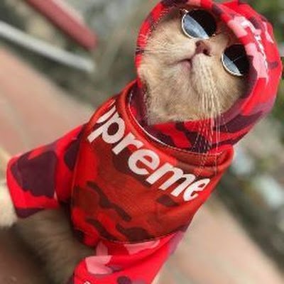 Bowii_9397's profile picture. 