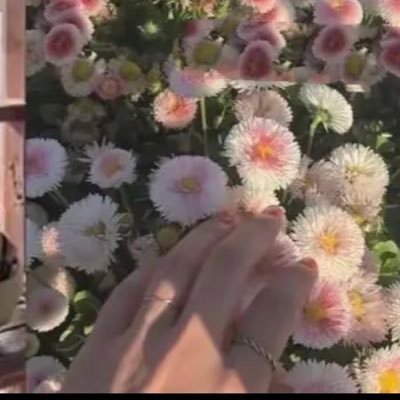 tea_kook07's profile picture. 