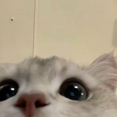 wenyi_wu56239's profile picture. I am working on research in Agentic AI and Causality at @HDSIUCSD
@UCSanDiego. Meet with me @NeurIPS2025!