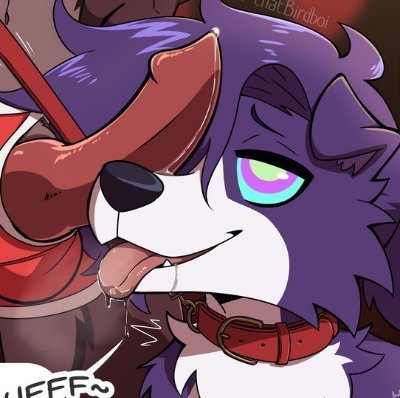 NovaSwirled's profile picture. Rrrruff! Woof! Dick obsessed puppy Account rebranded by @delilahearhart2