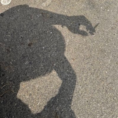 kumuran1's profile picture. よろしくお願いします🫥