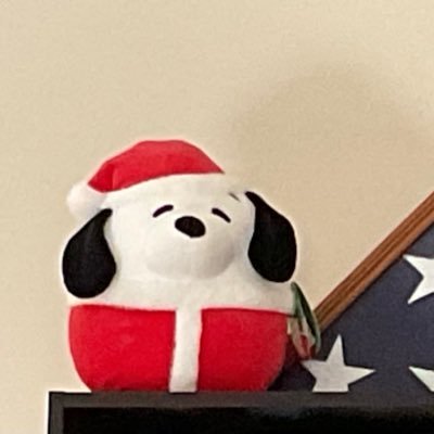 JE17118537's profile picture. Former New Englander finally out of snow country, retired, and enjoying life in the warmth of the Carolinas.