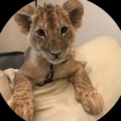 Af_mi90's profile picture. ﴿تَوَفَّني مُسلِمًا وَأَلحِقني بِالصّالِحينَ﴾