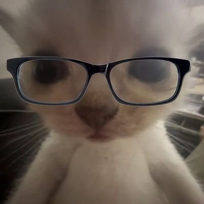 hachigatsuno_ai's profile picture. 