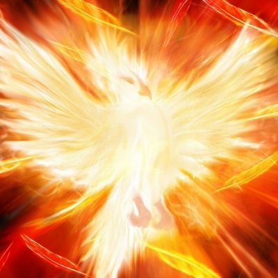 poyon6921276's profile picture. 