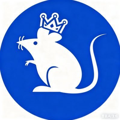 RatKiing_BNB's profile picture. $Ratking ca: Oxc3cd6531634d6d0cce95b0422b9f8d8b0aa9444 4 TG: https://t.co/BSqjrDIzUw