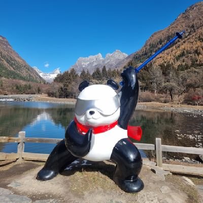 cycy_111111's profile picture. ShellyPundao 🤍🥚🐻✨️ | All countries GL