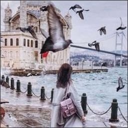 vlarjeaq79610's profile picture. 