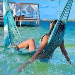 orcarqi56764's profile picture. 