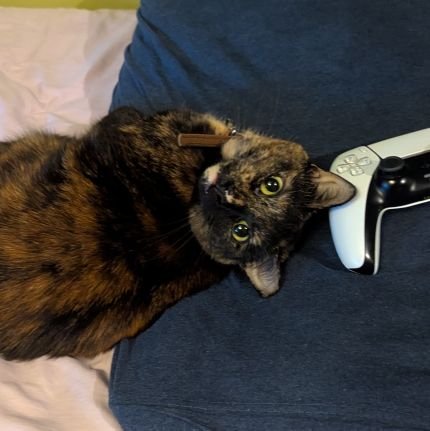 BuckLover26's profile picture. Hiya, I'm Melissa, and I'm 26! My og account (@MelissaRosenth2) got hacked so I'm on this one instead! I love coffee, my friends, and my cat!