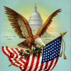 metr0stats's profile picture. Watching the 2026 race for the People's House of America, actual politics at @metr0politics