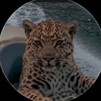 PanterWq's profile picture. 