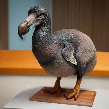 DJwithaD1's profile picture. 