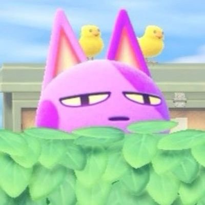 shobympc's profile picture. Luv Resval me manque