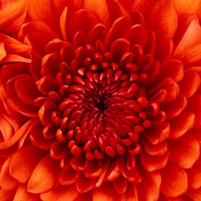 larry_jin2394's profile picture. 