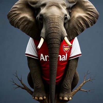 BaruParks's profile picture. A gentle Giant. Ancestor. Traditionalist. Real Estate. Arsenal fan. Gin and wine .  God first. Body goals 118Kg to 99Kg by December