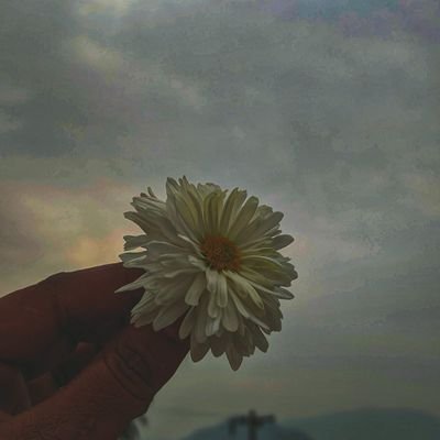 neeli_megham's profile picture. 