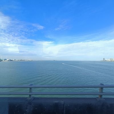 bugfrisk's profile picture. Engineer, uncertified troublemaker.
Rts are definitely endorsement
Taylor swift ❤️