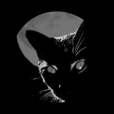 thespaceavenue's profile picture. free palestine // @makeurownbones