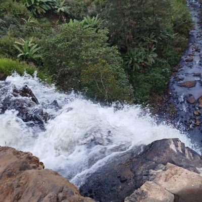 kiumbu_'s profile picture. Conservationist//PhD Pastoralism//Agripreneur//BSC Agribusiness//An Ardent of Biodiversity Conservation//@ChelseaFC//Proudly Maasai//Pwani University Alumnus//