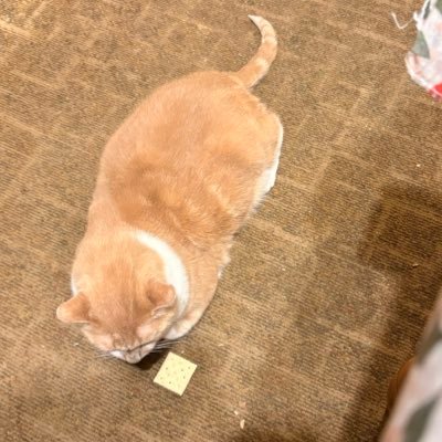 evan_price03's profile picture. 23